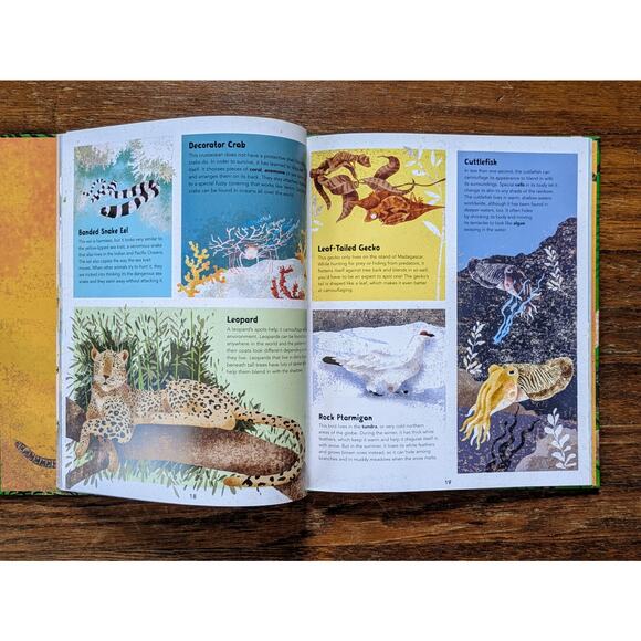 Incredible Animals Kids Book Hardbound Educational 8-12 Years Barefoot Books - Picture 11 of 11